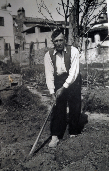 En Salvador Figueras cavant en un hortet que hi havia al darrera de casa seva