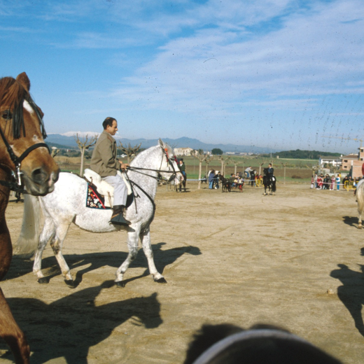 Cursa de doma de cavalls al camp d'en Cinto en motiu de la festivitat de Sant Antoni Abad.