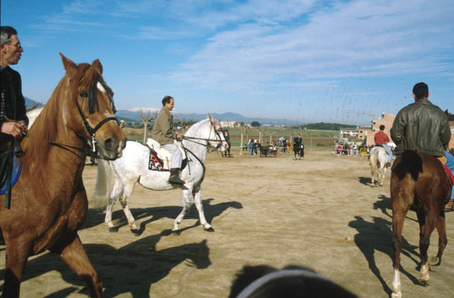 Cursa de doma de cavalls al camp d'en Cinto en motiu de la festivitat de Sant Antoni Abad.