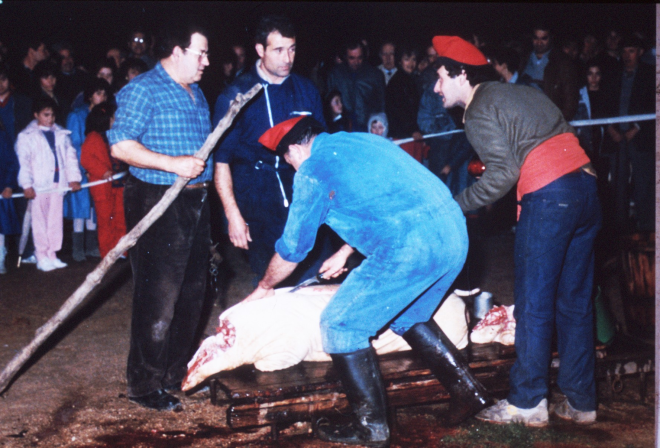 Matança del porc per la festa de Sant Antoni. El matador Pere Lluscafressa ajudat per Joan Costa, Josep Maynegre i Josep M Ciurana en plena feina.