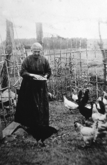 L'àvia de Can Xeu, o sigui la mare de Lluís i Joan Munsó Esqueu, donant de menjar a les gallines. Aquesta dona es deia Roseta Esqueu.
