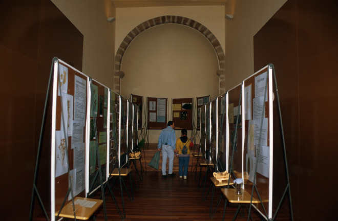 Altre detall de la Capella de Sant Sebastià, restaurada que acull una exposició de plantes i flors.