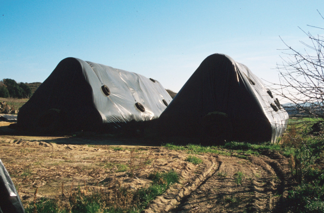 Granja agrícola pecuària de Cal Ros. Detall de l'emagatzament de 