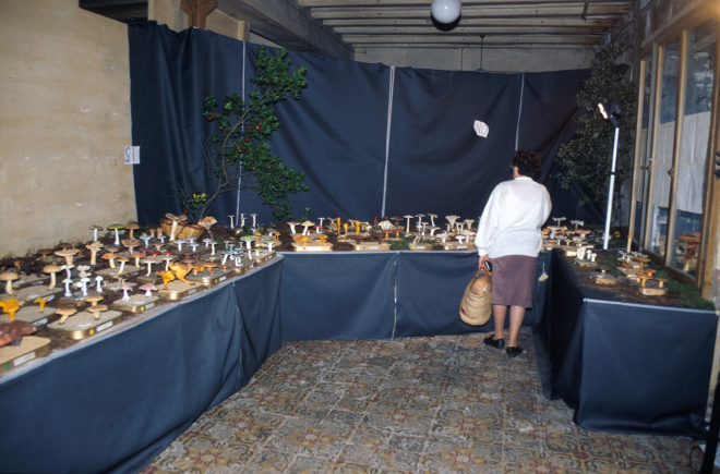 Exposició de bolets que organitzà el Taller d'història a Ca l'Ubà vell a la plaça de l'Església.