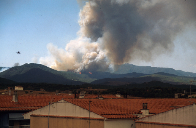 Detall de l'incendi de l'agost del 93. A l'esquerra es veu la muntanya d'Argimon abans de ser arrasada pel foc.