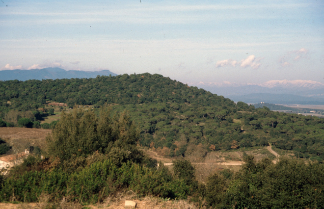 Vista del turó d'en Roura des de Can Sagués. Al fons es veu les torres de Puigardina i la muntanya de Santa Bàrbara.