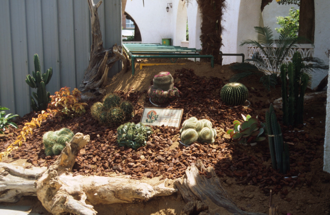Exposició de flors i productes agrícols per les festes del roser de l'any 96.