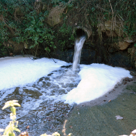 Aigua residual que cau a la Riera Torderola, sembla que sense depurar.
