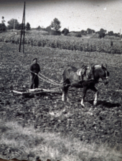 En Lluís Munsó 