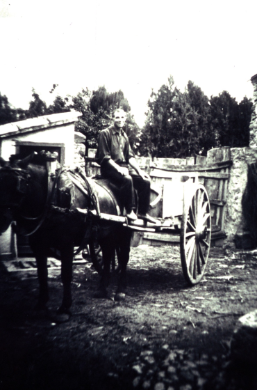 Josep Artigas Vilella.

Carro amb cavall i la bota de traginar la 