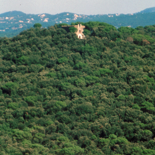 Una curiosa vista del Castell de Torcafelló pràcticament amagat per la frondositat del bosch que l'envolta. Al fons part de l'urbanització Residencial park