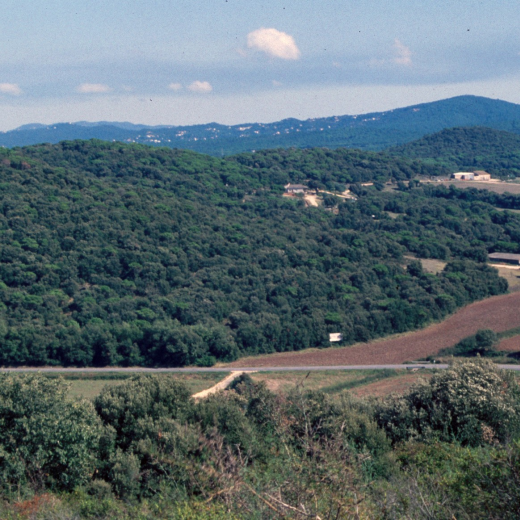 Vista panoràmica presa des de la pedrera de can Figueras. A l'esquerra el turó de Sant Jordi amb la capella-mirador, les cases La Pineda, Can Pujolràs, Can Renegat i Can Badia i al fons, l'Urbanització i la muntanya de Montbarbat.