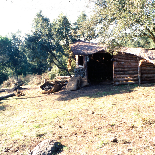 Detall d'una barraca de carboners construïda per en Pitu Manté (Josep Ferrer) i d'una carbonera que ell havia fet per obtenir carbó vegetal.