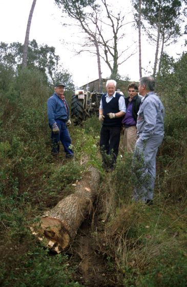 En Xavier Vergès, en Martí Tomàs, en Xavier Roura, i en Joaquim Roca, batallejant amb els socs de roura que han de servir per reconstruïr el 