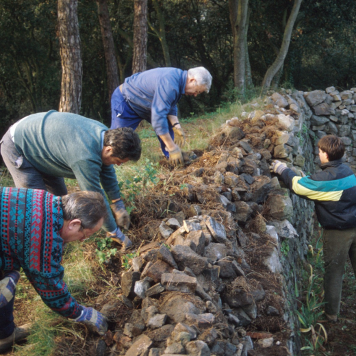 El grup de treball del taller d'història en la restauració del castell de Torcafelló. Josep Panosa, J. Verdaguer, Xavier Vergés i Jordi Vergés.