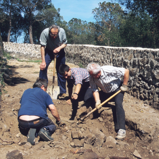 En els treballs de desenrunament dels fossars del Castell de Torcafelló hi fou trobada inesperadament la 