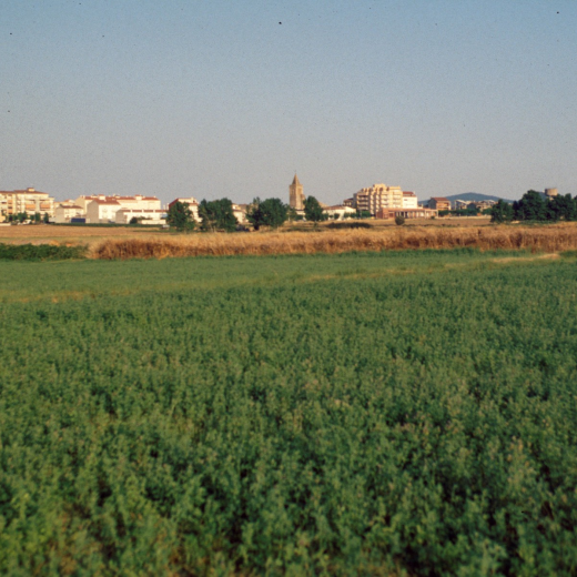Vista de la vila de Maçanet de del pla de la vila