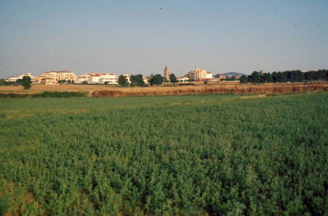 Vista de la vila de Maçanet de del pla de la vila