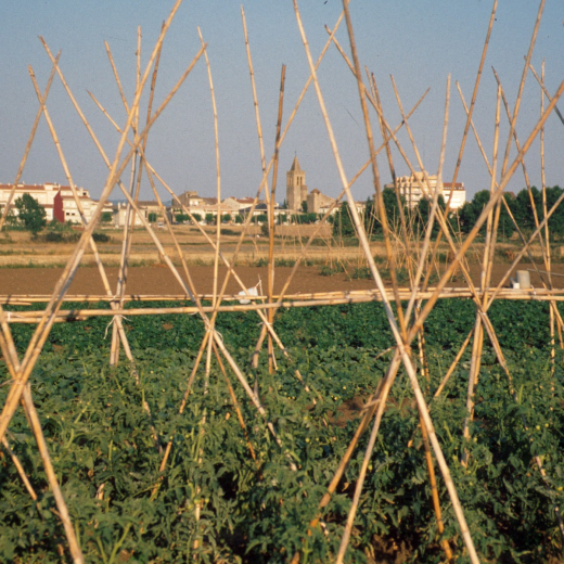 Vista parcial de la vila des d'un hort prop del torrent de Can Garriga