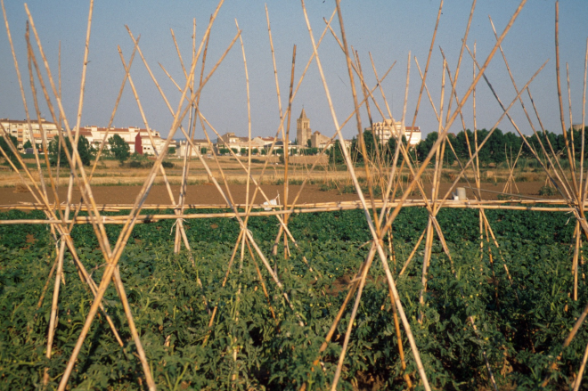 Vista parcial de la vila des d'un hort prop del torrent de Can Garriga