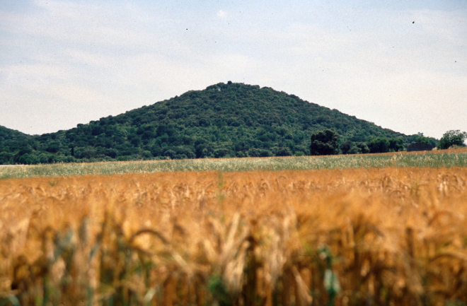 Des del pla de Vila, vista del turó de Sant Jordi amb la ufanosa capa de bosc que el vesteix i que tapa fins la vista de les restes del castell de Torcafelló