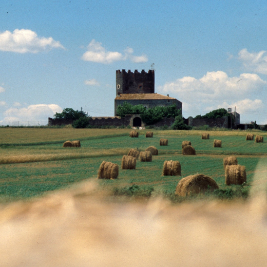 Una altra magnífica panoràmica de la Torre de Marata amb el camp escampat de bales de ferratge pendents d'esser recollides pels pagesos.