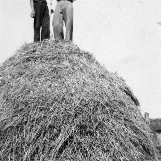 En Josep Vidal i el seu germà Salvador a dalt d'un paller.