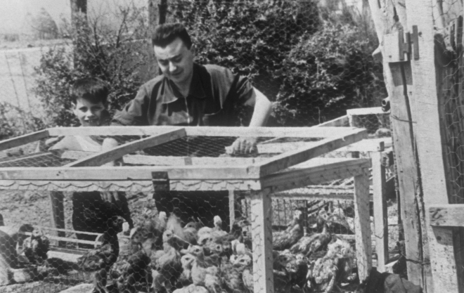 En Lluís Tornil l'any 1960 quan es dedicava a criar pollets