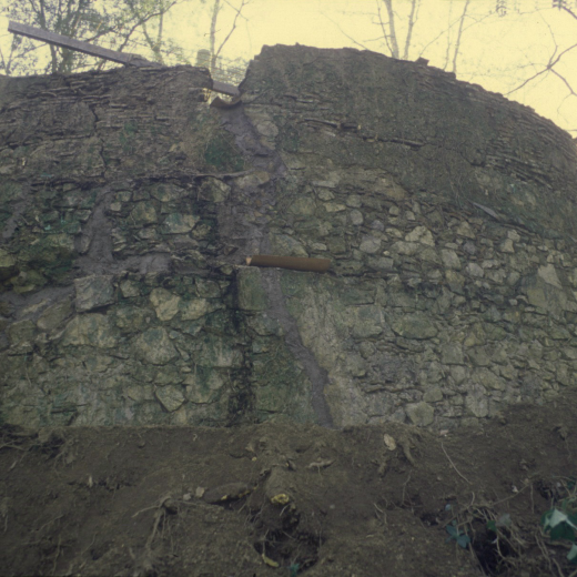 Els primers treballs de neteja per la restauració del pou del glaç, la paret nord.