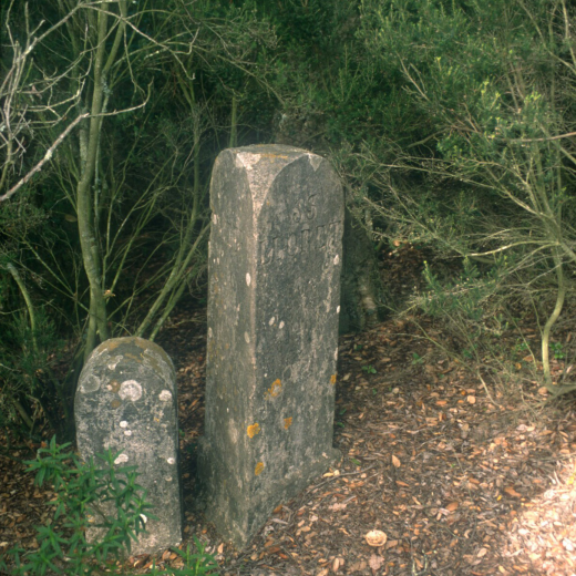 Els termes coneguts com els tres termes de Lloret, Blanes i Tordera al Mont Barbat.