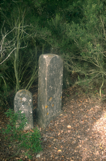 Els termes coneguts com els tres termes de Lloret, Blanes i Tordera al Mont Barbat.