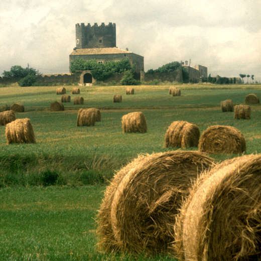 La torre de Marata, amb els camps plens de bales de palla.