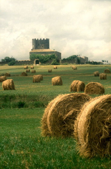 La torre de Marata, amb els camps plens de bales de palla.