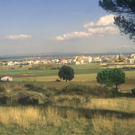 Vista panoràmica de la vista de Maçanet des del turó de can Figueres.