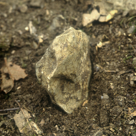 Les excavacions al turó de Puigmari.