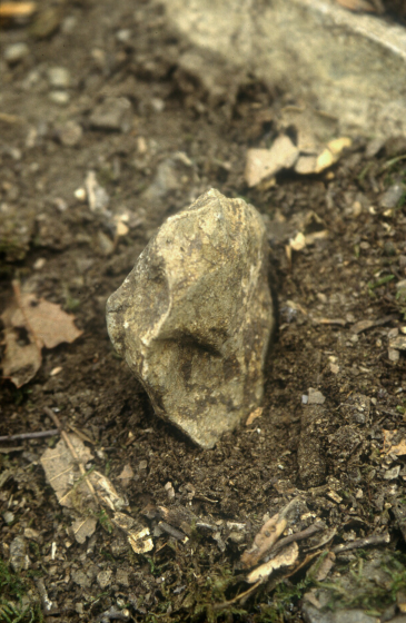 Les excavacions al turó de Puigmari.