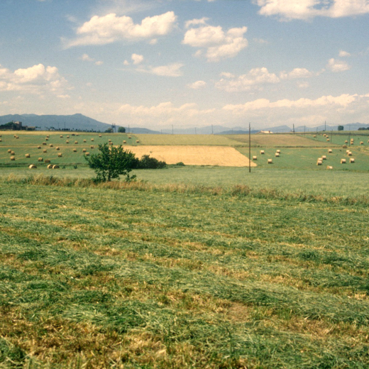 Vista del 