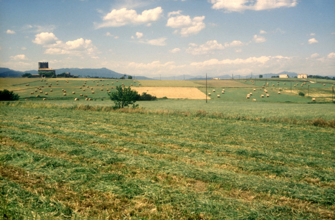Vista del 