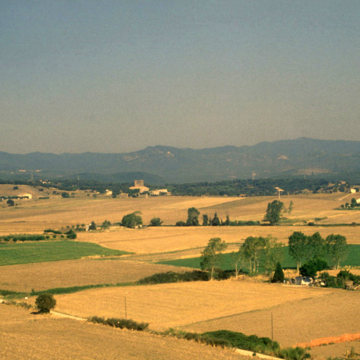 Vista des de dalt del campanar, del 
