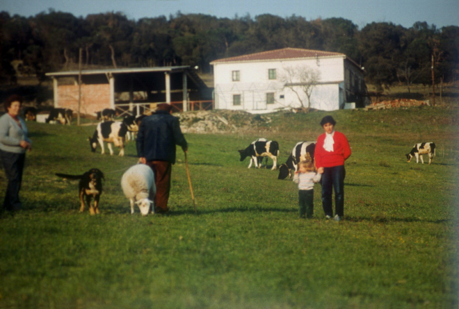 La línia Cal Oller. En primer terme i d'esquerra en Josep Bou amb el bastó i un xai i la Montse Bou amb la seva filla Roser. Al fondo, les vaques pasturant.