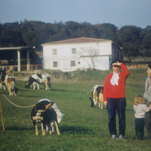 Vista de la masia Cal Oller amb les vaques pasturant. A la foto hi ha en Josep Bou, germà de l'amo de finca, l'Enric Bou i la Montserrat Bou filla d'en Josep amb la seva cosina Joaquima i la petita Roser.