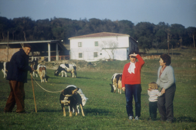 Vista de la masia Cal Oller amb les vaques pasturant. A la foto hi ha en Josep Bou, germà de l'amo de finca, l'Enric Bou i la Montserrat Bou filla d'en Josep amb la seva cosina Joaquima i la petita Roser.