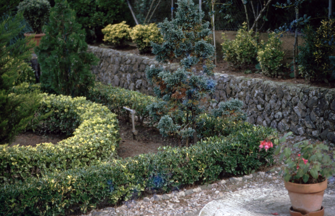 Detall d'un jardí construït al Residencial Park per en Joan Fàbregas.