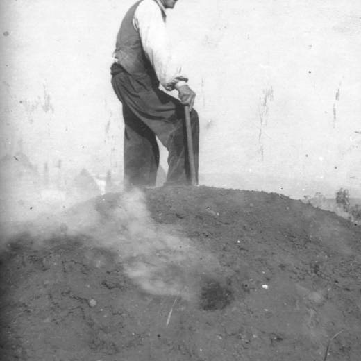 L'avi manté 