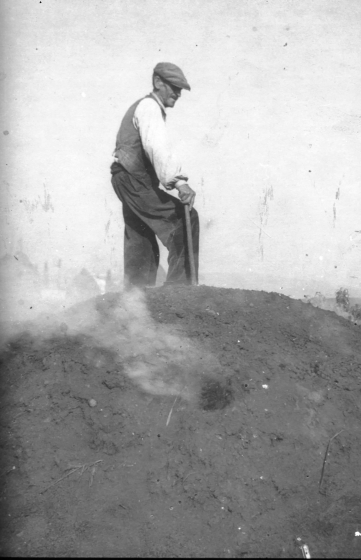 L'avi manté 