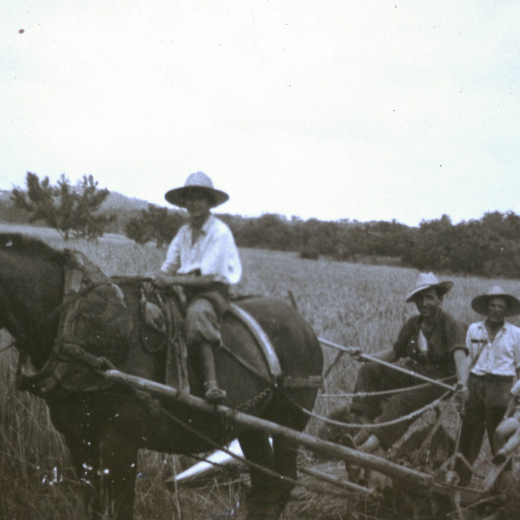 Treball de la sega a Can Raurell el juny de 1955.

Dalt del cavall en Josep Ruscalleda zagal de Raurell procedent de Tordera.

A la màquina en Manel Reyner amb el petit Tomàs Reyner i dret l'Esteve Xarbaul.