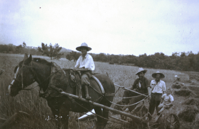 Treball de la sega a Can Raurell el juny de 1955.

Dalt del cavall en Josep Ruscalleda zagal de Raurell procedent de Tordera.

A la màquina en Manel Reyner amb el petit Tomàs Reyner i dret l'Esteve Xarbaul.