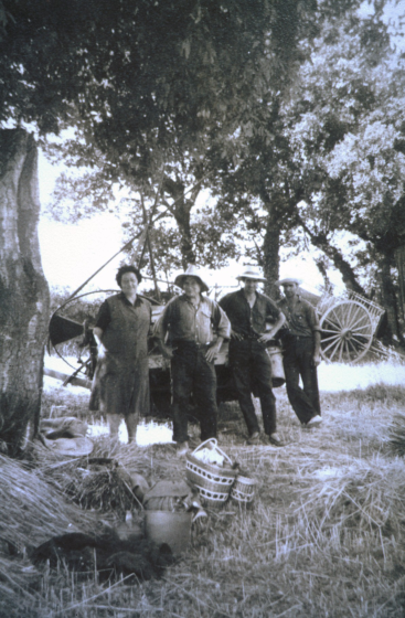 Treballs de la sega a Can Sureda el juny de 1962.

Maria Sarrà, Lluís Prats, Josep Bancells i Llorenç Prats.