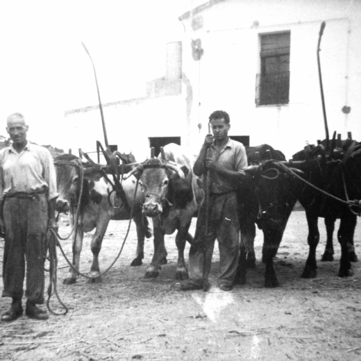 En Francesc Oliveras amb els seus fills Josep i Concepció de la masia Can Pau Retat