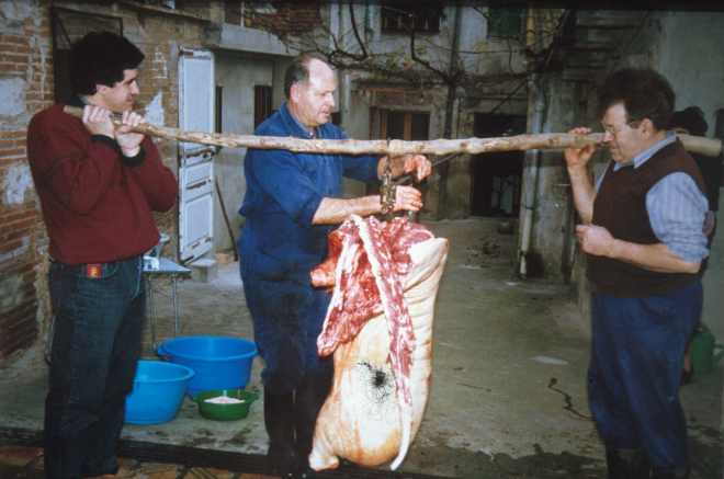 Matança del porc a Can Borra.

En Jaume Costa i el seu Pare Joan aguanten el porc mentre el matador - Pere Lluscafressa - comprova el pes.